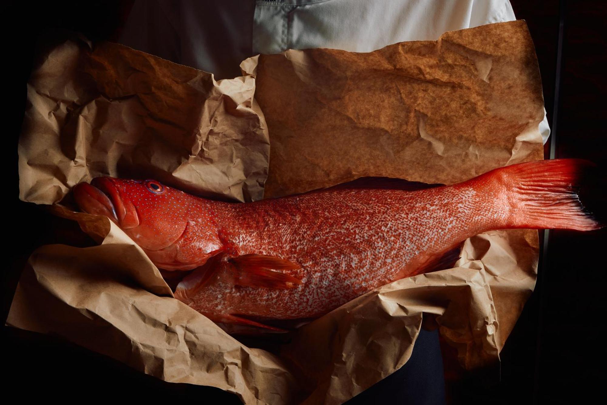Hotel Park Hyatt Melbourne Zewnętrze zdjęcie A smoked turbot
